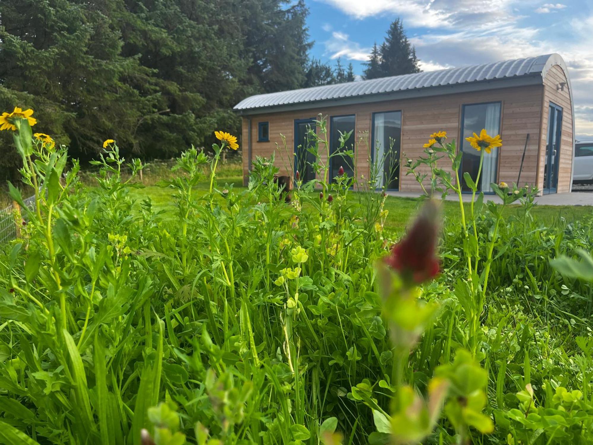 Ceo Mara Croft B&B & 2 Luxury Cabins テインイルト エクステリア 写真